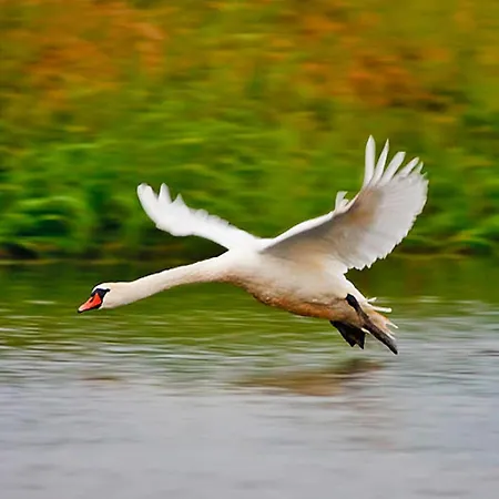 On The Shore, Boat Included Prázdninový dům Rosnowo