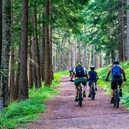 On The Shore, Boat Included * Rosnowo